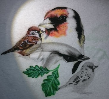 Birds