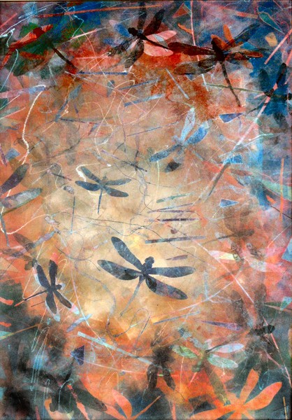 Dragonfly 3