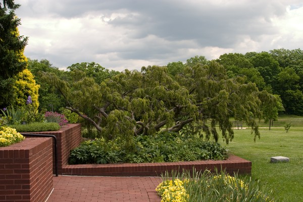 The Garden Of Peace