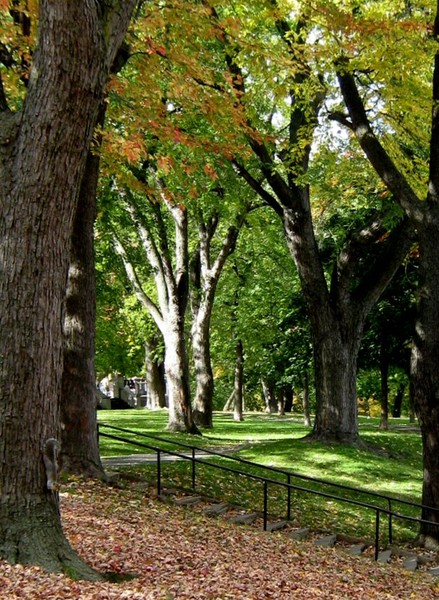Autumn In The Park (Six)