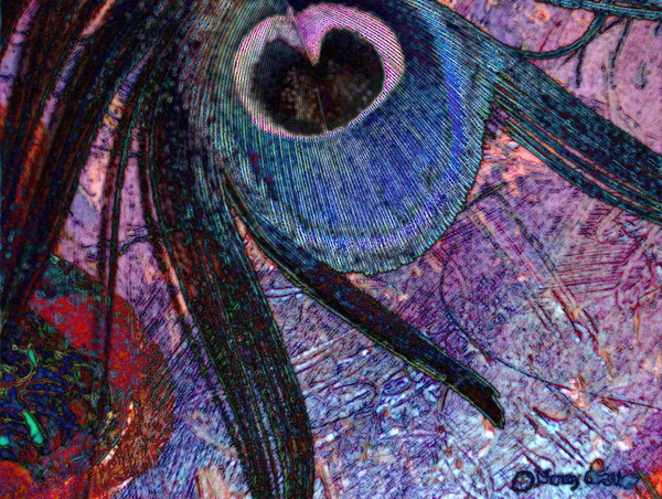 Featherpaint Edge