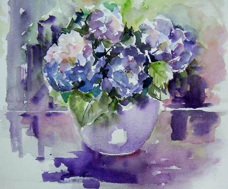 hydrangeas