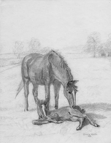 Mare and Foul