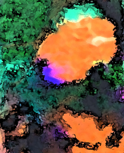 Beginnings
