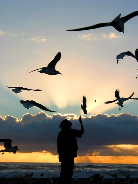 Birdman on the Beach