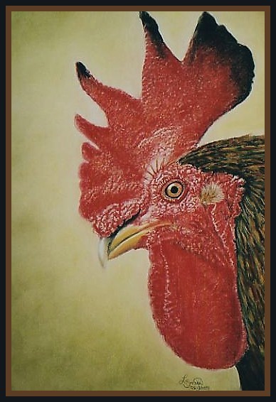 My Rooster