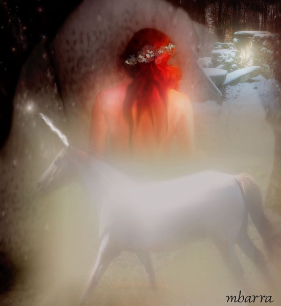 The Maiden and The Unicorn