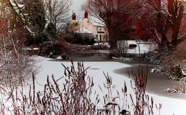 Christmas in Broomfeild