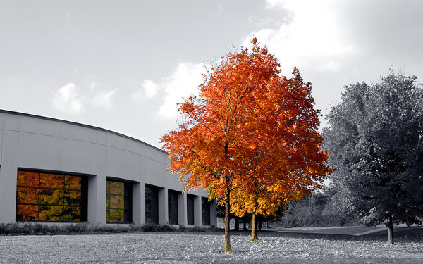 Autumn-to-fall