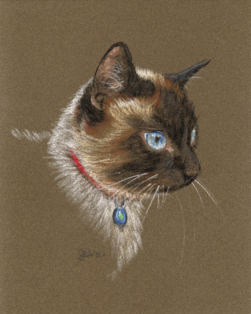 Siamese Samantha