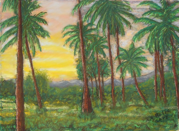 Sunset with Coconut Palms