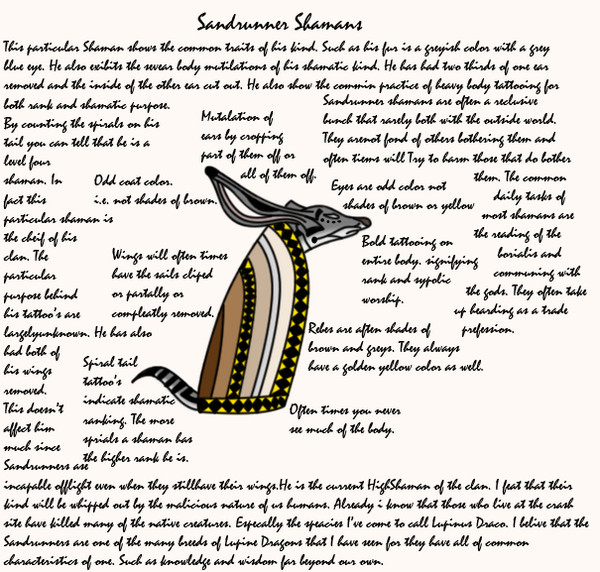 Sandrunner Shaman Journal Page