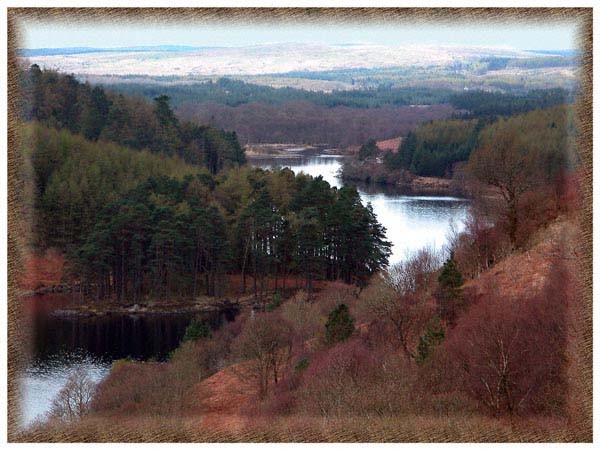 Autumn in Galloway