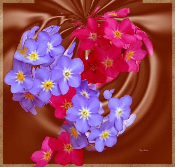 Flowers and Chocolate