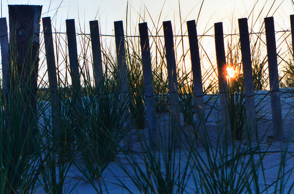 Evening Sand Dune