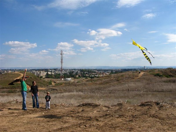 kite festival-a fmily affair