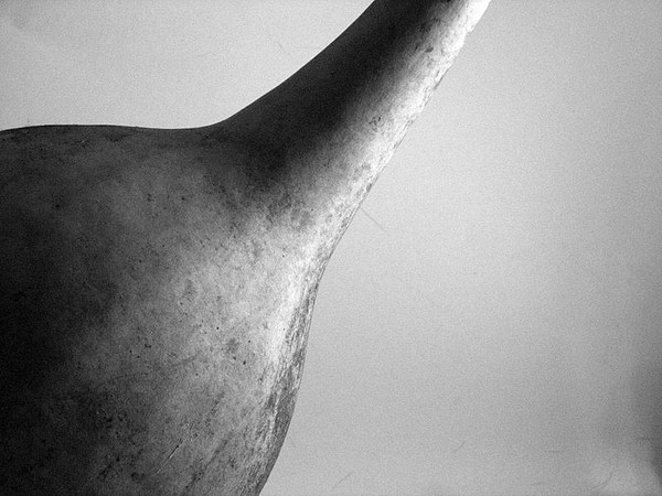 Gourd Detail