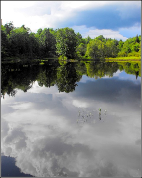 Cloud Reflection On Lake