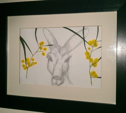 Kangaroo and Wattles