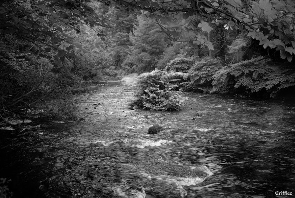 A NICE QUIET SPOT