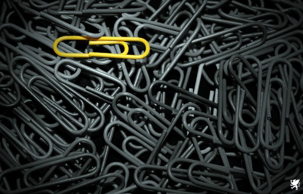 YELLOW CLIP