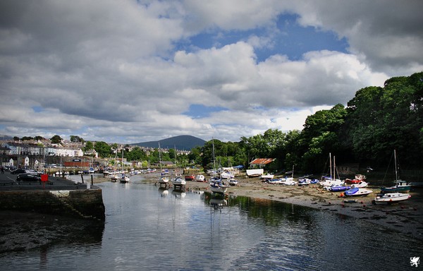 LOW TIDE