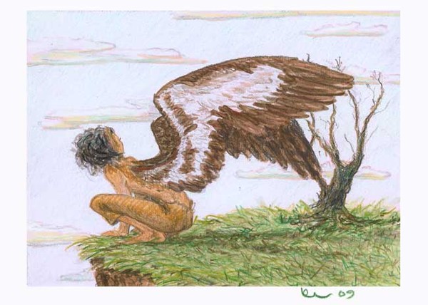 Jessica's Shearwater