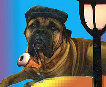 Sherlock Bones