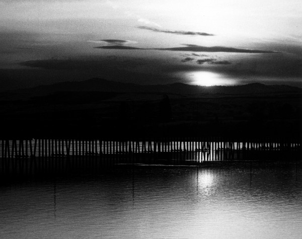 Reflections on Flathead lake