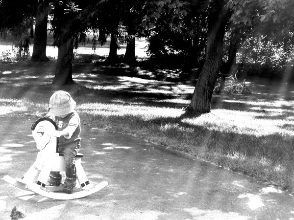 Rocking Horse Dreams