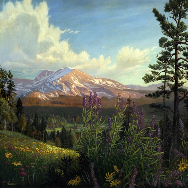 Spring Mountain Meadow - Square Format Art