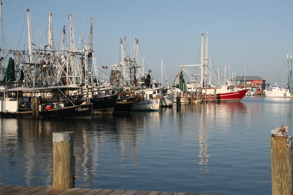Boats I