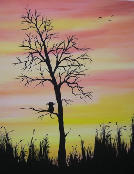 Cat in a Tree