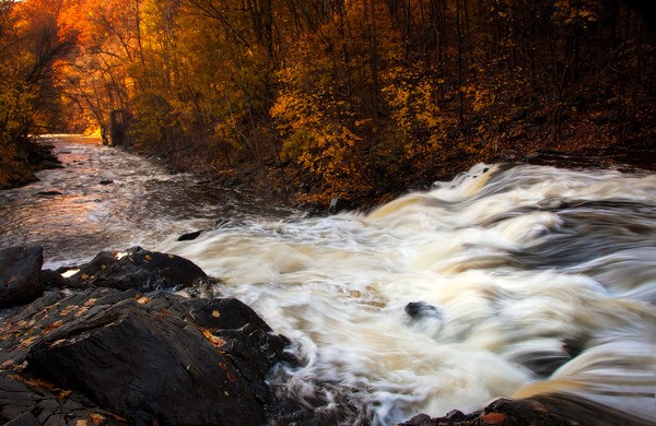 Water Dances
