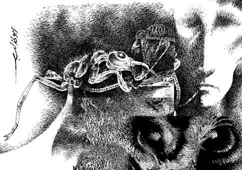 drawing