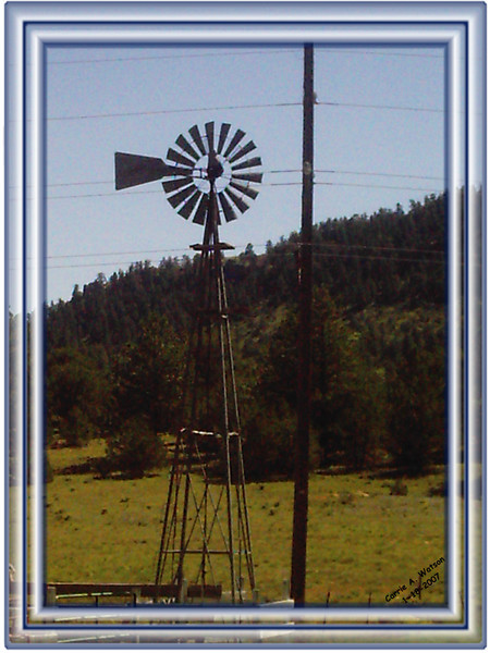 The Windmill