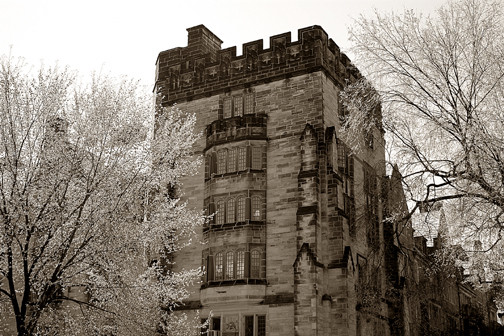 Ivy League 2