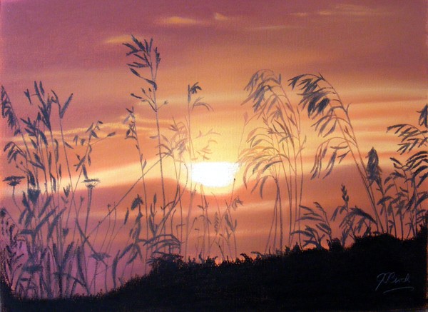 Sunset through grass
