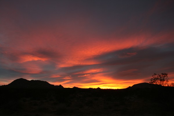 Morning of Color