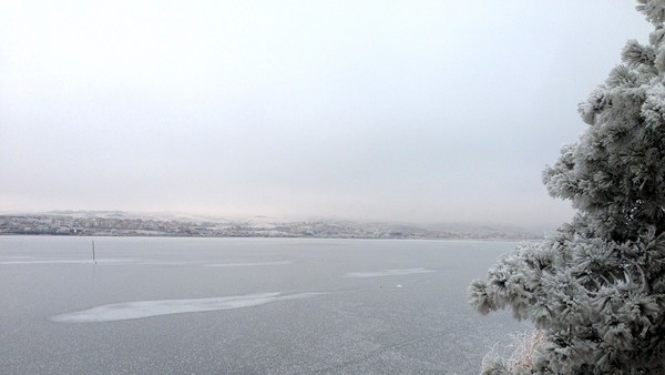 Mogan Lake 2
