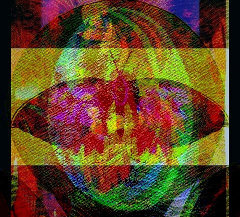 Collage 4 Butterfly