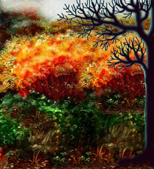 Autumnal palette