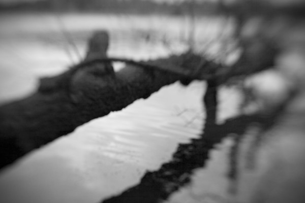 Fallen