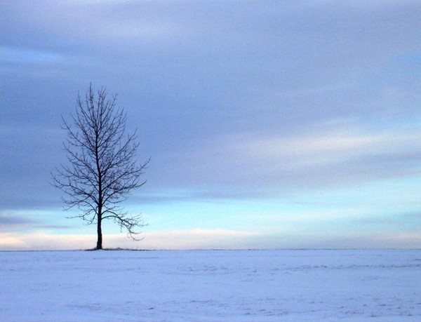 Winter Blues
