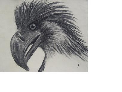 Egor