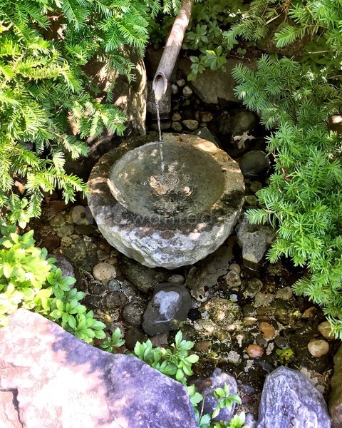 Purification