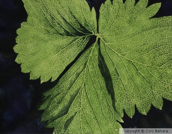 Strawberry Leaf #1