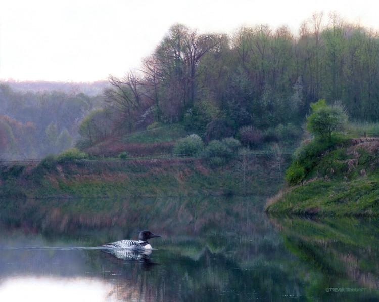 Silent Waters