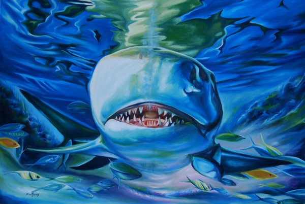 shark again