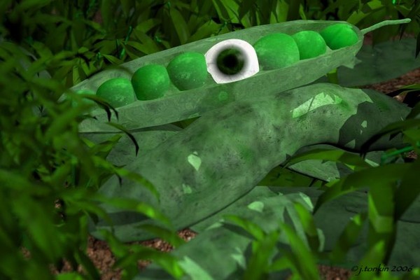 eyepod